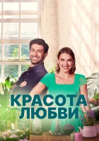 Красота любви смотреть онлайн (2021)